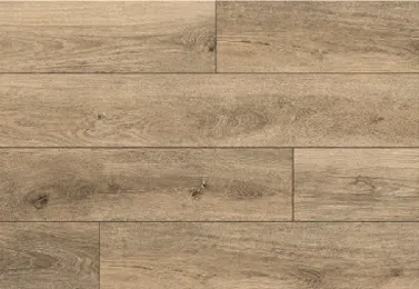 Chestnut Oak A01
